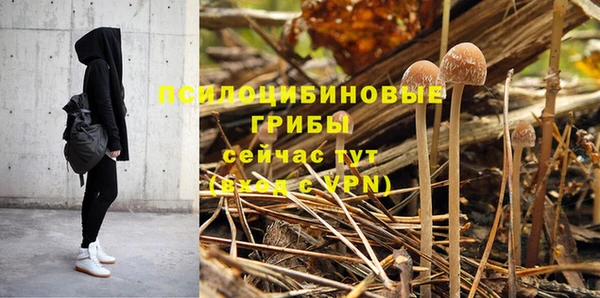 мет Абаза