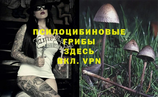 прущие крисы Абдулино