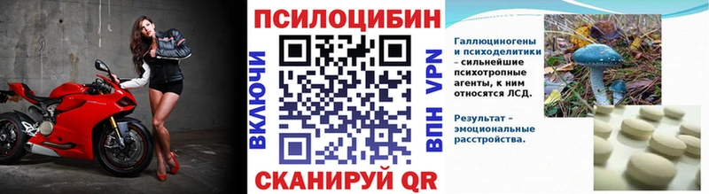 купить наркоту  Абинск  Галлюциногенные грибы GOLDEN TEACHER 